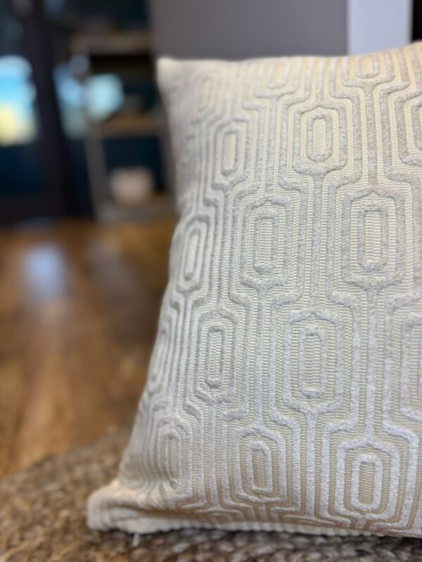 Coussin  velour a motifs