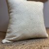 Coussin  velour a motifs