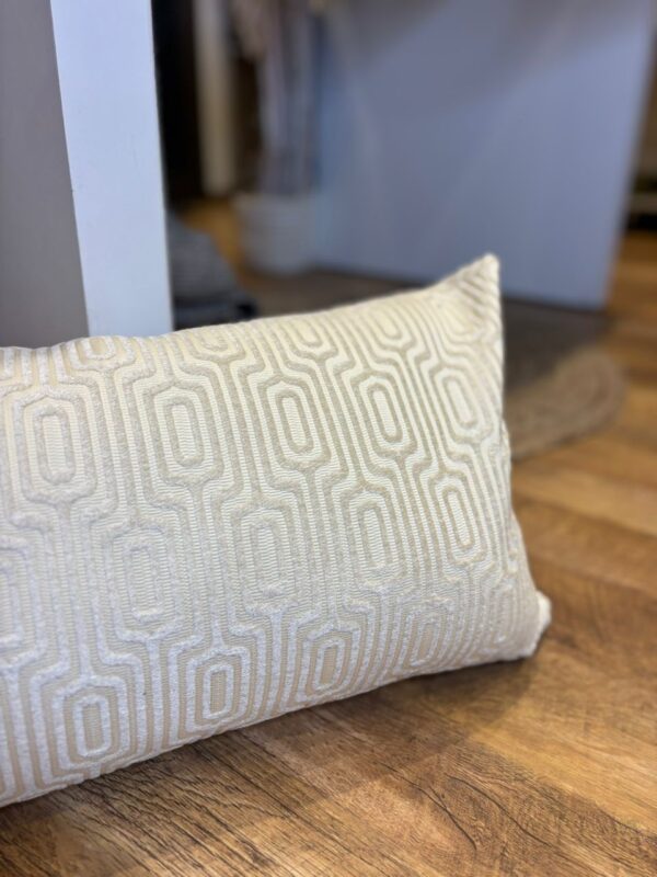 Coussin velour rectangulaire