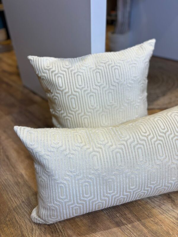 Coussin  velour a motifs