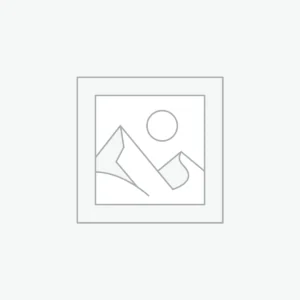 Tapis Berbère Gris et Blanc